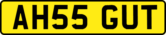 AH55GUT