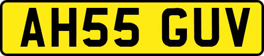 AH55GUV