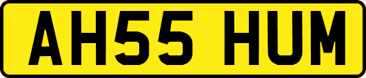 AH55HUM