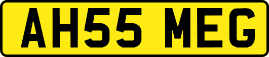 AH55MEG