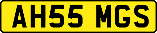 AH55MGS