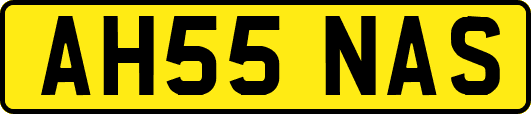 AH55NAS