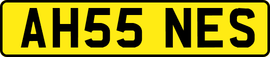 AH55NES