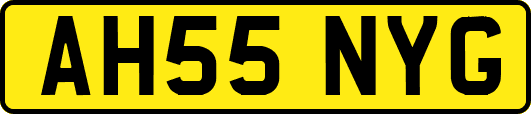 AH55NYG
