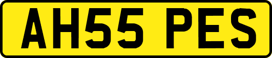 AH55PES