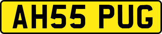 AH55PUG