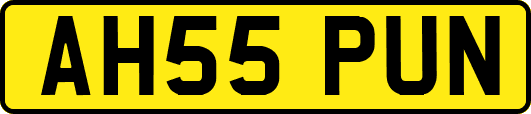 AH55PUN