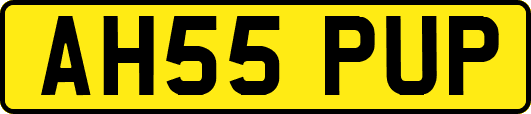 AH55PUP
