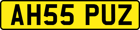 AH55PUZ
