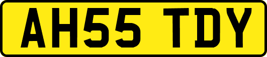 AH55TDY