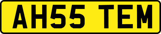 AH55TEM