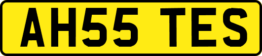 AH55TES
