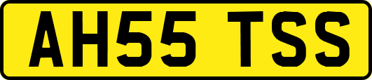 AH55TSS