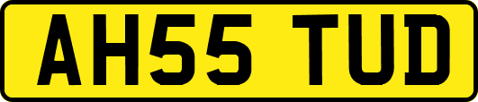 AH55TUD