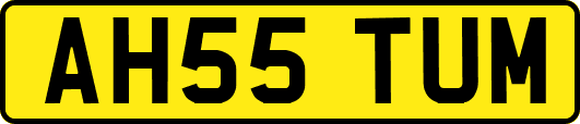 AH55TUM