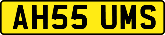 AH55UMS