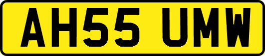 AH55UMW