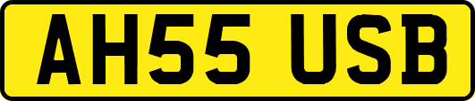 AH55USB