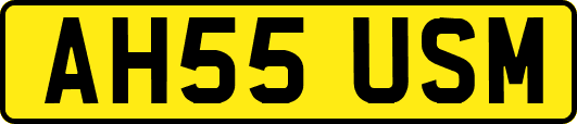 AH55USM