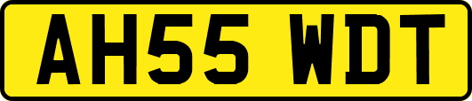 AH55WDT