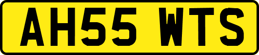 AH55WTS
