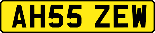 AH55ZEW