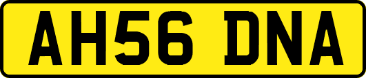 AH56DNA