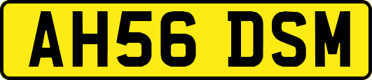 AH56DSM
