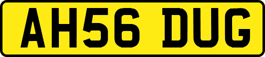 AH56DUG