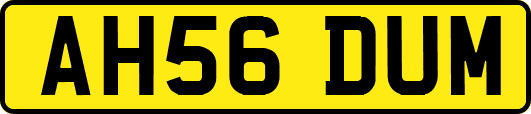 AH56DUM