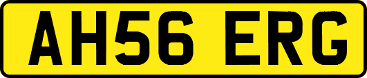AH56ERG