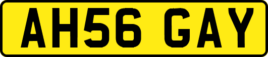 AH56GAY