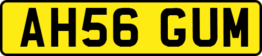 AH56GUM
