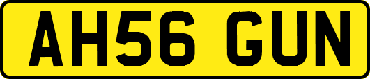 AH56GUN