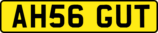 AH56GUT