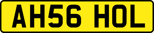 AH56HOL