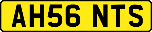 AH56NTS