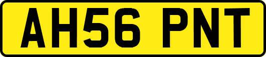 AH56PNT