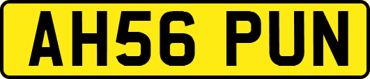 AH56PUN