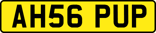 AH56PUP