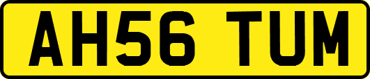 AH56TUM
