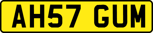 AH57GUM