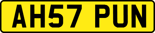 AH57PUN