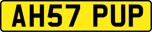AH57PUP