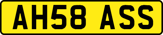AH58ASS