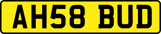 AH58BUD