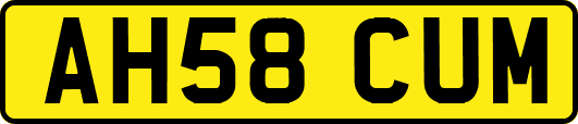 AH58CUM