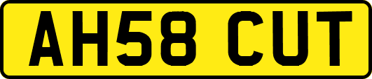 AH58CUT
