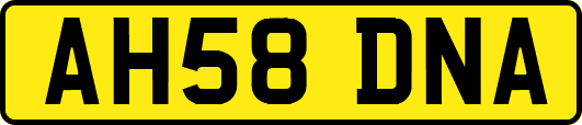 AH58DNA