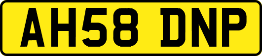 AH58DNP